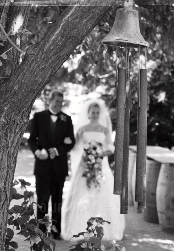 Award winning photography in san francisco and San Jose, JP Impressions